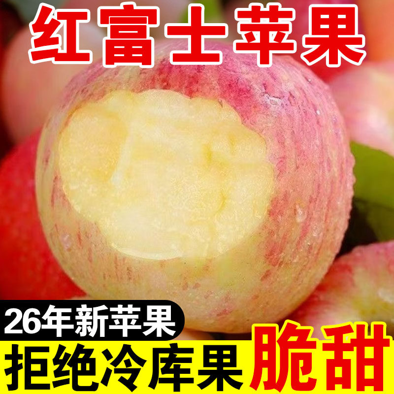 正宗红富士苹果脆甜大果
