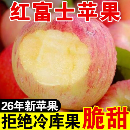 正宗红富士苹果脆甜大果