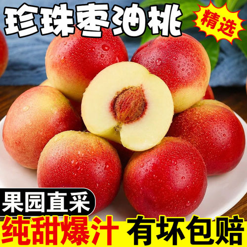 爆甜珍珠枣油桃精选大果5斤