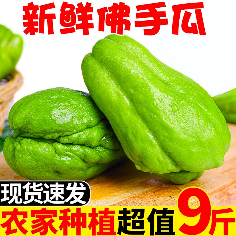 云南佛手瓜5斤装农家新鲜蔬菜洋瓜10捧瓜丰收窝瓜扶手瓜整箱包邮D|msdalam kategori daging perikanan/Buah-buahan segar dan sayur-sayuran/dimasak, sayur-sayuran segar/Vegetable Products, sayur-sayuran segar, 佛手瓜 - dari Buy2taobao.com untuk memberikan perkhidmatan ejen Taobao profesional membeli