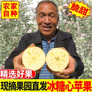 丑苹果平果5 现季 冰糖心苹果新鲜水果红富士当季 整箱10斤山西应季