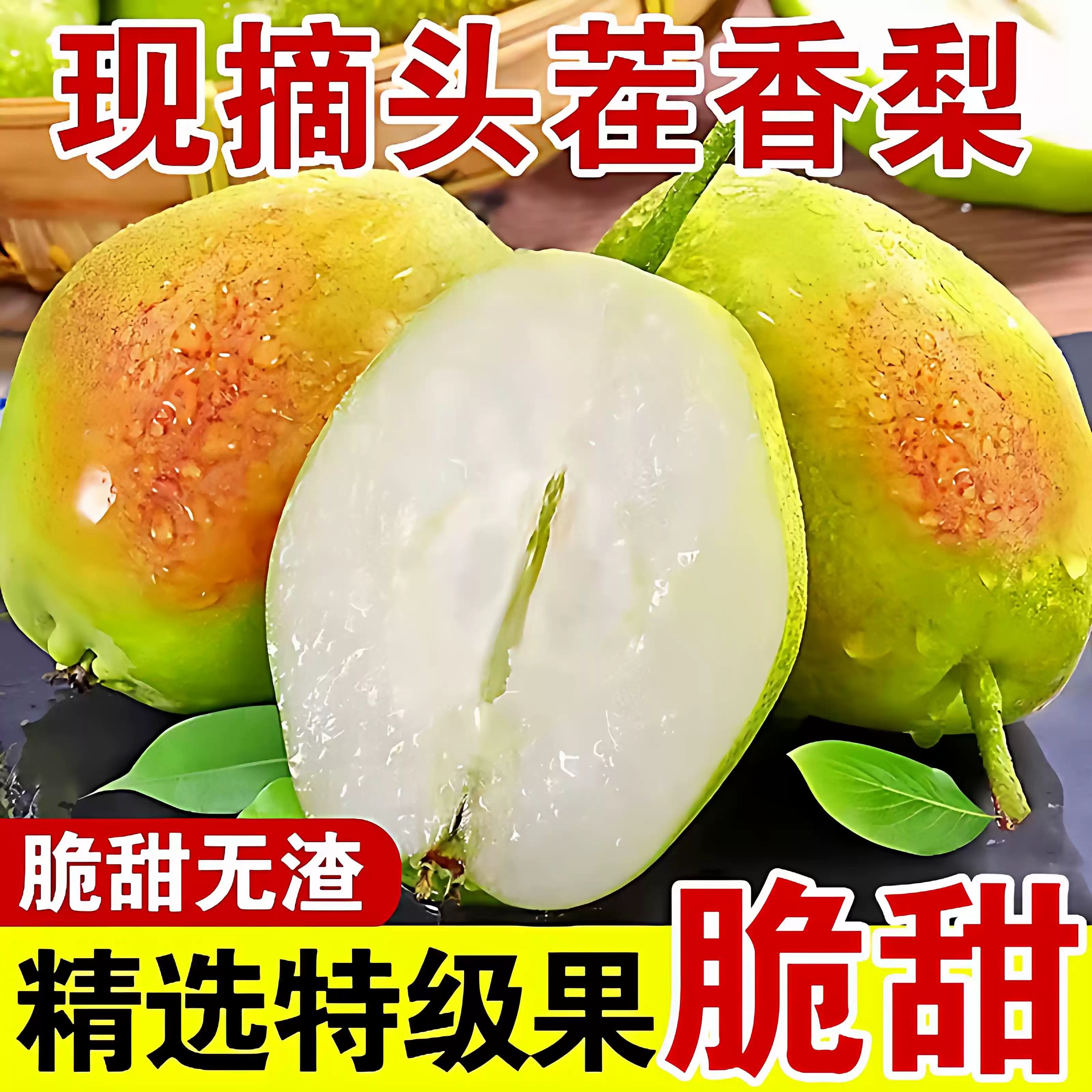 正宗山西红香酥梨当季现摘薄皮脆甜多汁新鲜水果整箱9斤香梨包邮