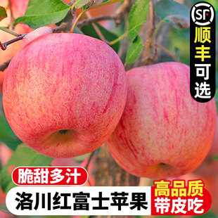 萍果10 洛川苹果红富士水果新鲜当季 整箱8.5斤延安特产一级应季