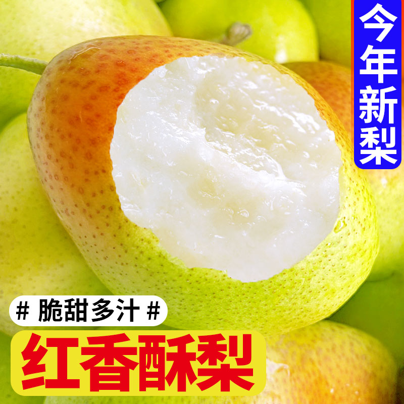 脆甜红香酥梨精品大果