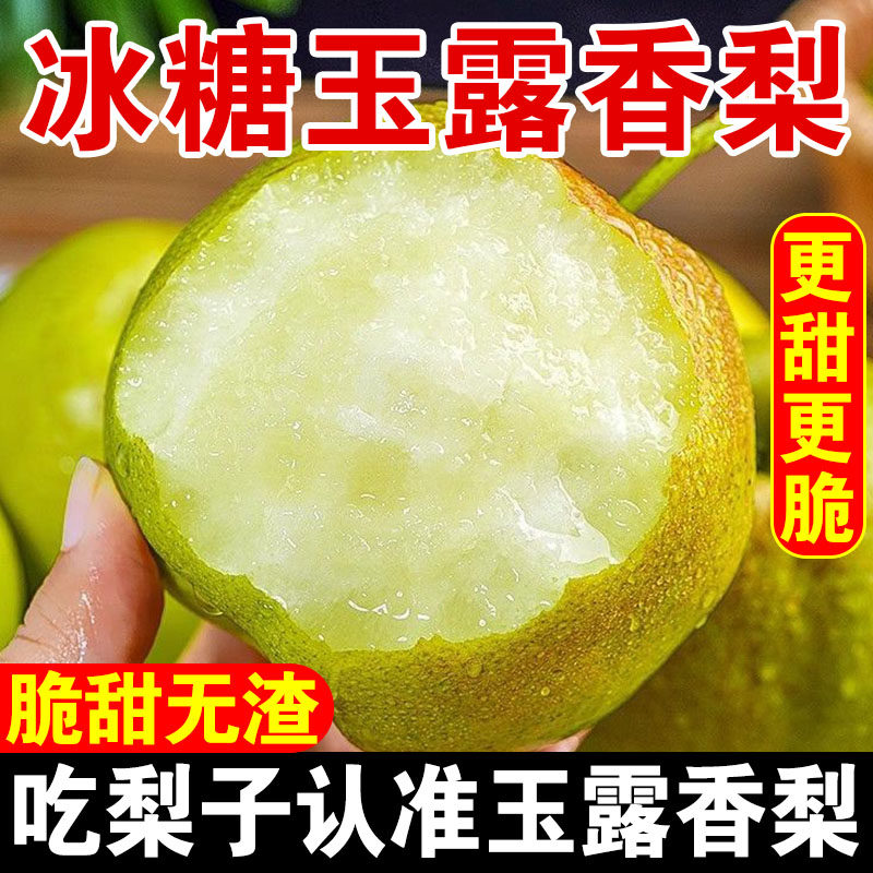 正宗山西玉露香梨脆甜多汁酥梨薄皮雪梨现摘大果新鲜应季孕妇水果