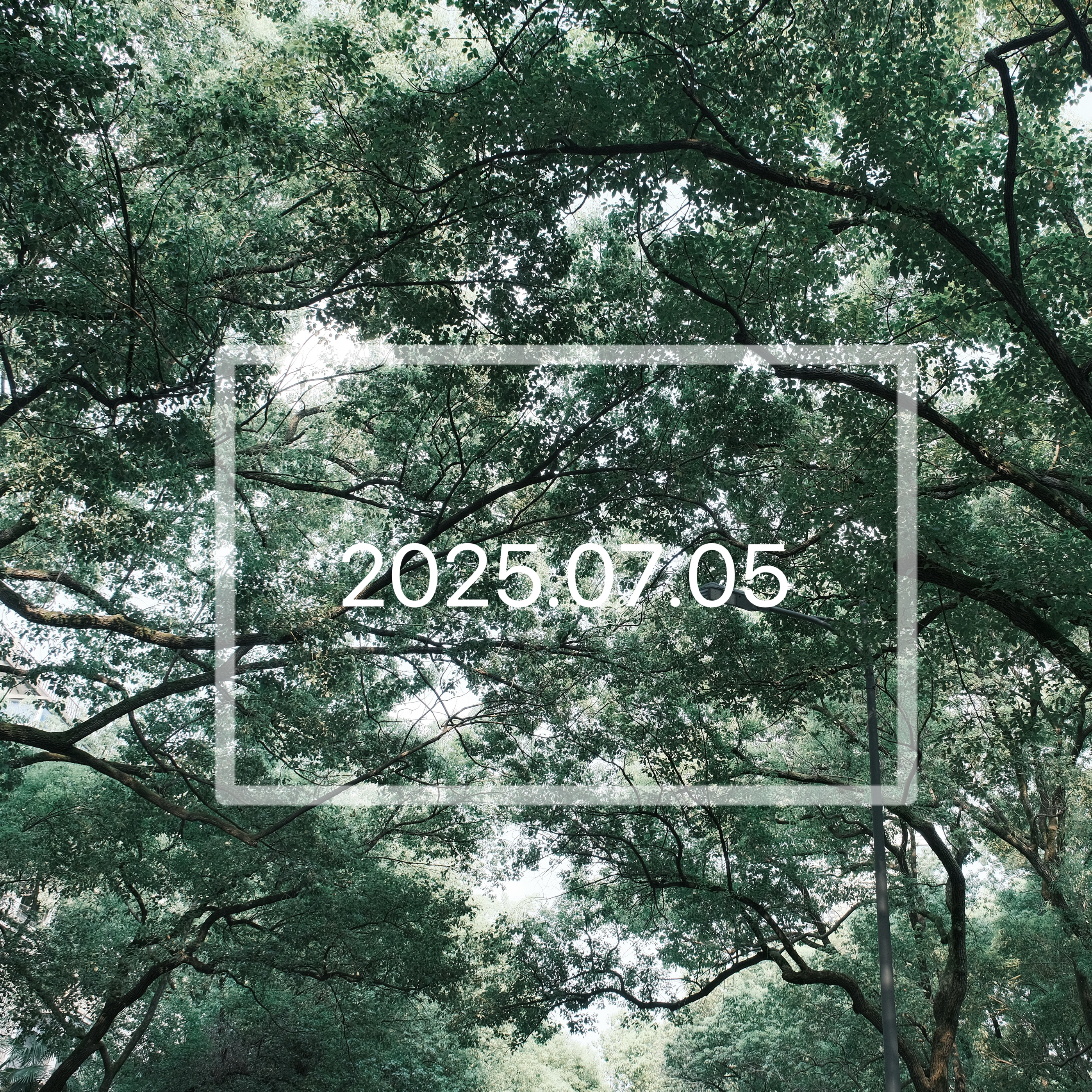 紫禁桂花 摩洛哥柑橘 约瑟芬玫瑰 波旁香根草 织物香氛香水小样