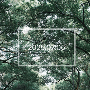 紫禁桂花 摩洛哥柑橘 约瑟芬玫瑰 波旁香根草 织物香氛香水小样