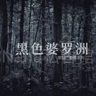 广藿香木质小众香水 婆罗洲之夜 「原创」极ZHI鹤木 黑色婆罗洲