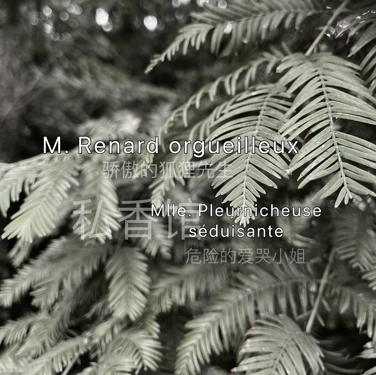 原创木质私馆香原创小众香水