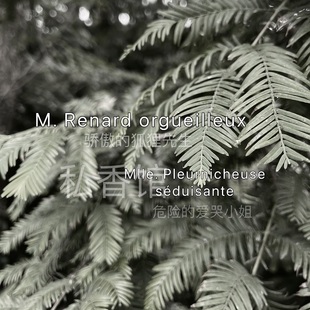 原创 木质合集  骄傲的狐狸先生爱哭的危险小姐 小众香水