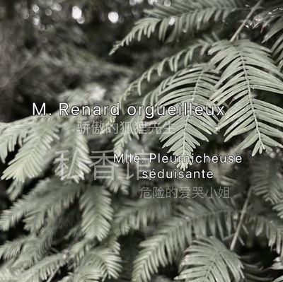 原创木质私馆香原创小众香水