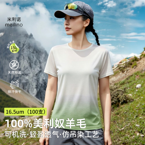 16.5um美利奴羊毛女短袖t恤薄款