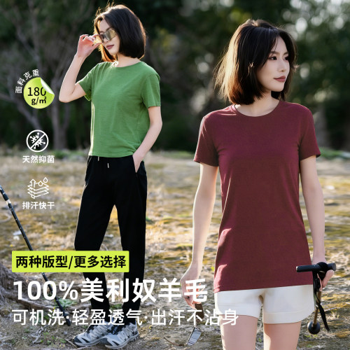 100%美利奴羊毛女户外速干短袖