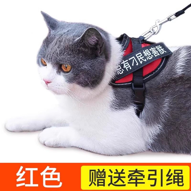猫咪牵引绳防挣脱外出专用遛猫绳溜猫链子宠物胸抱婴袋猫绳子小型,宠物/宠物食品及用品,猫牵引绳,淘宝优惠券,粉丝福利购,淘宝优惠卷