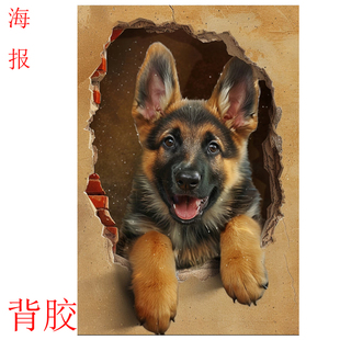 东德牧图海报贴图德国牧羊犬狗狗大副墙壁自贴背胶画装饰图案