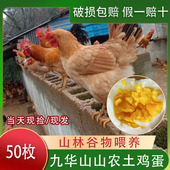 正宗土鸡蛋农家散养新鲜土鸡蛋柴笨鸡蛋九华山土鸡蛋30枚顺丰