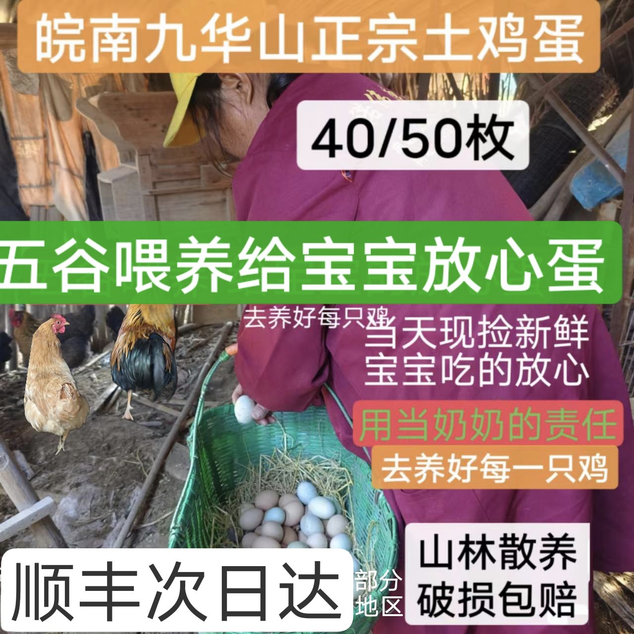 儿童孕妇新鲜草鸡蛋皖