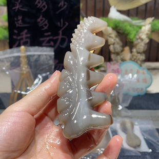 1951 白水富甲龙骨