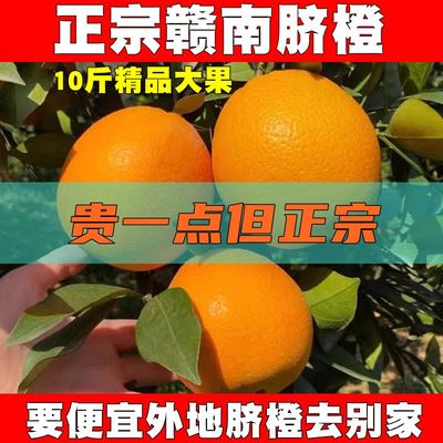 正宗赣南脐橙贵一点但正宗