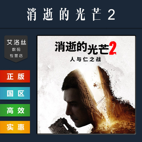 steam平台正版游戏消逝的光芒2