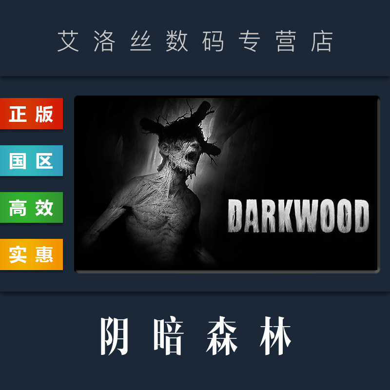 pc中文正版 steam平台 国区 恐怖游戏 阴暗森林 darkwood 激活码