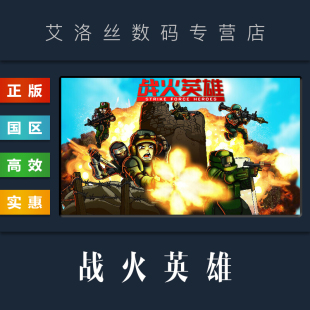 PC中文正版 游戏 国区 steam平台 激活码 Strike Force 战火英雄 Heroes 重制版 cdkey