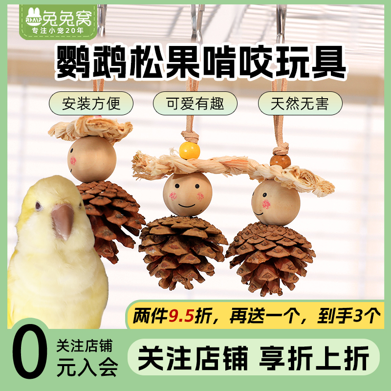 鹦鹉啃咬松果玩具磨牙磨嘴