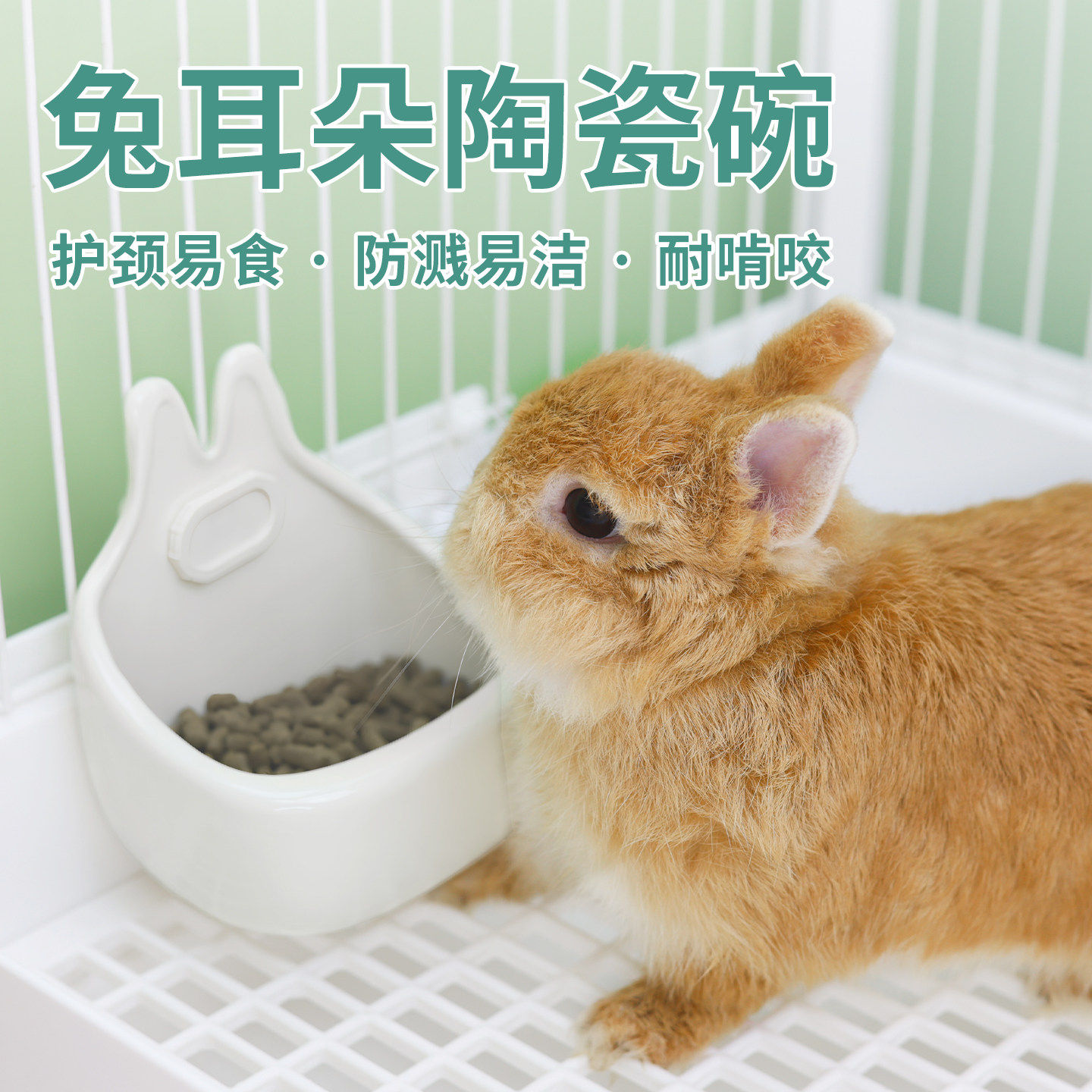 umi食盆宠物兔子陶瓷喂食器荷兰猪可挂式防扒防打翻兔兔饭碗用品