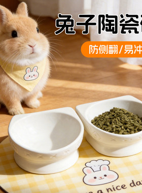 爱妮漫陶瓷兔子龙猫防浪费食盆