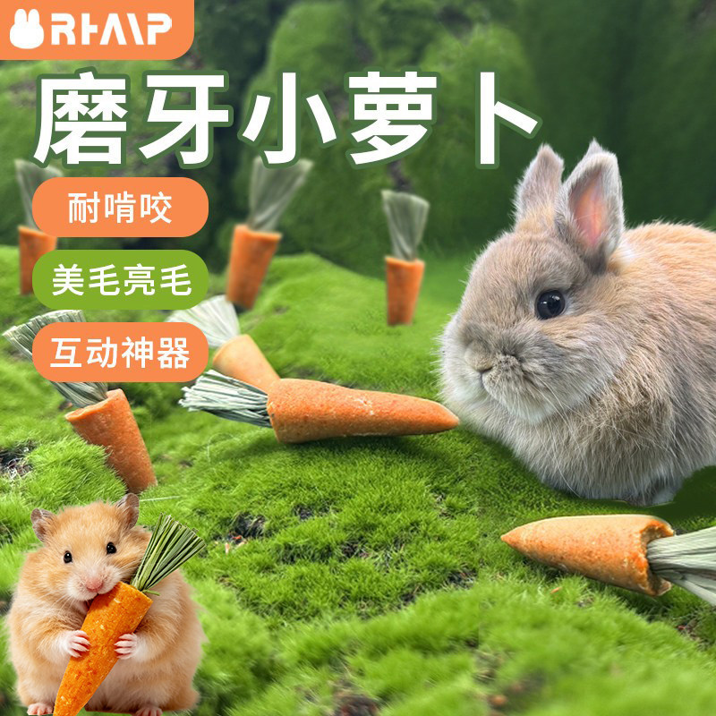兔子磨牙小萝卜兔兔磨提摩西磨牙零食龙猫豚鼠荷兰猪磨牙天然零食