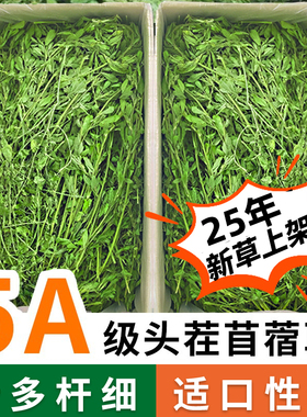 2025紫花苜蓿草烘干兔子草兔粮龙猫豚鼠荷兰猪兔子干草兔子食用草