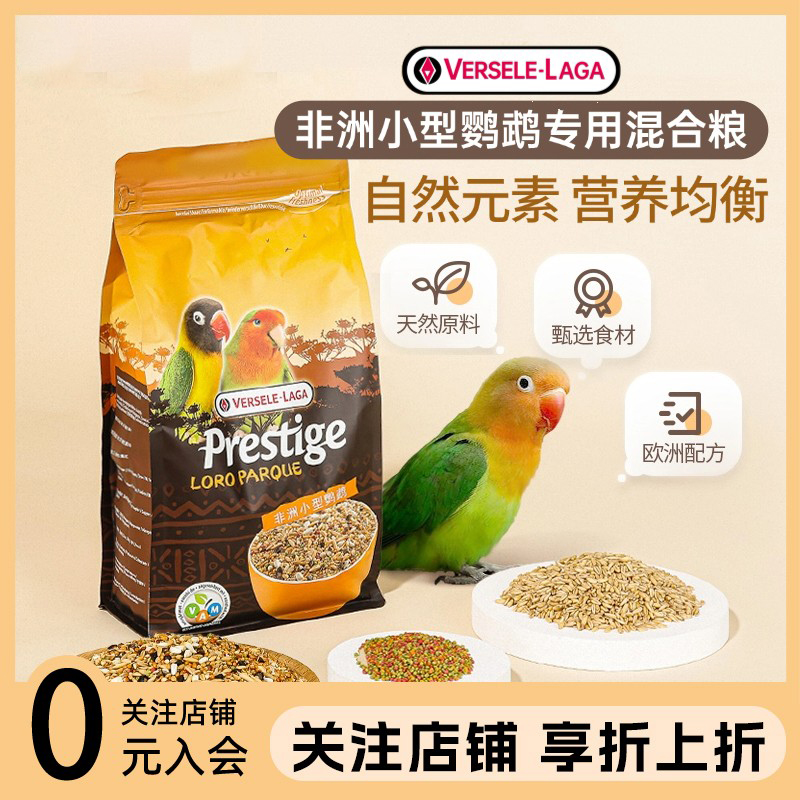 比利时凡赛尔牡丹鹦鹉粮食饲料