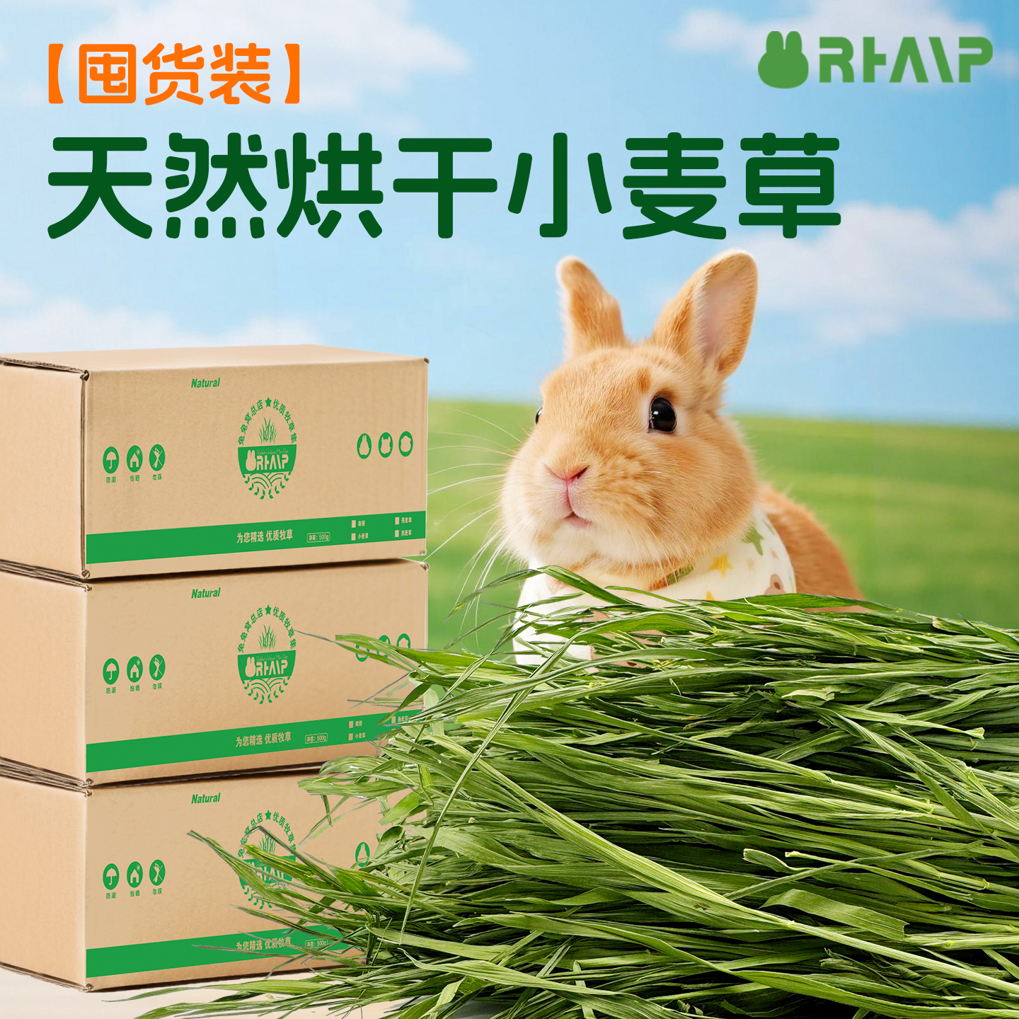 小麦草干草牧草兔子龙猫荷兰猪