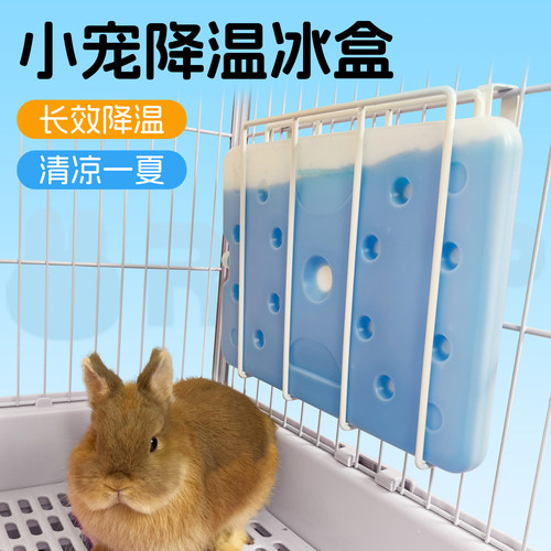 夏季冰凉兔子降温冰盒神器兔兔窝