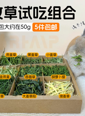 新草兔子试吃草燕麦草苜蓿草饲料