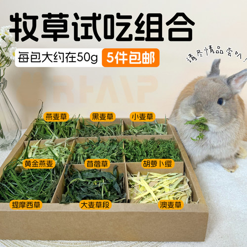 新草兔子试吃草燕麦草苜蓿草饲料