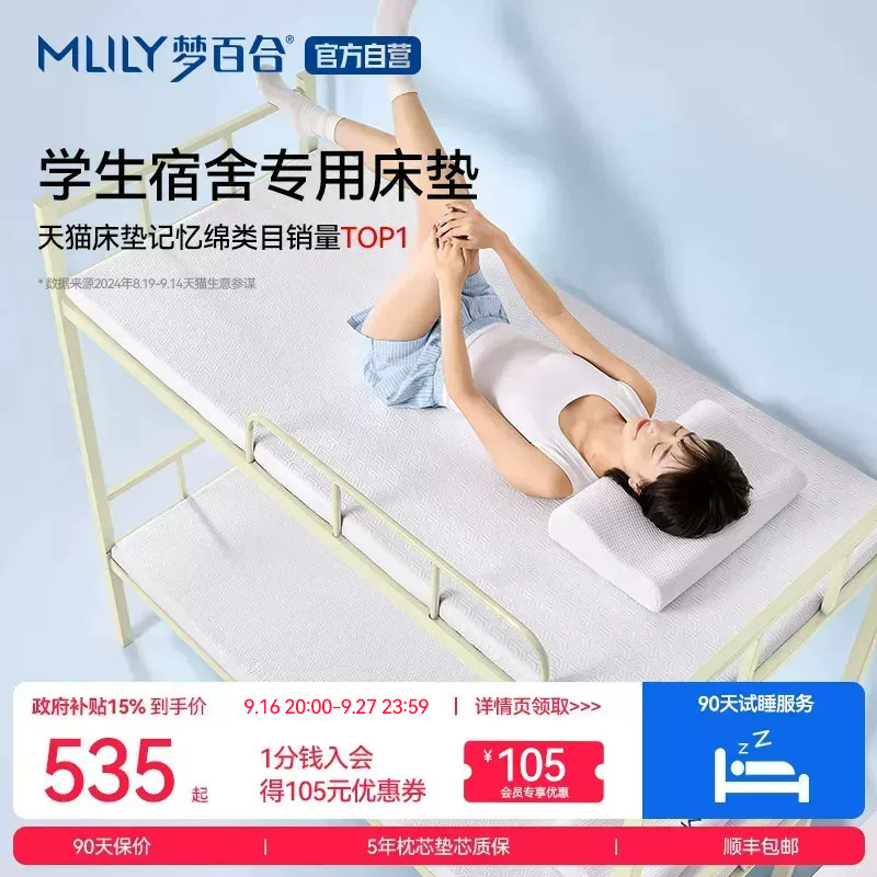 单人记忆棉棉租房专用海绵软垫子图片