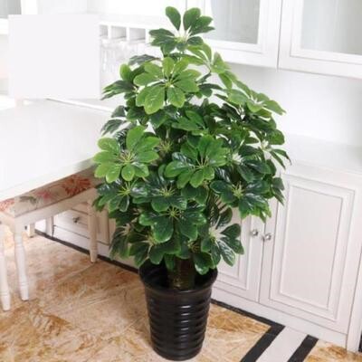 送人假花发财树盆栽植物室内大棵客厅玄关富贵树花树造景大盆摆放