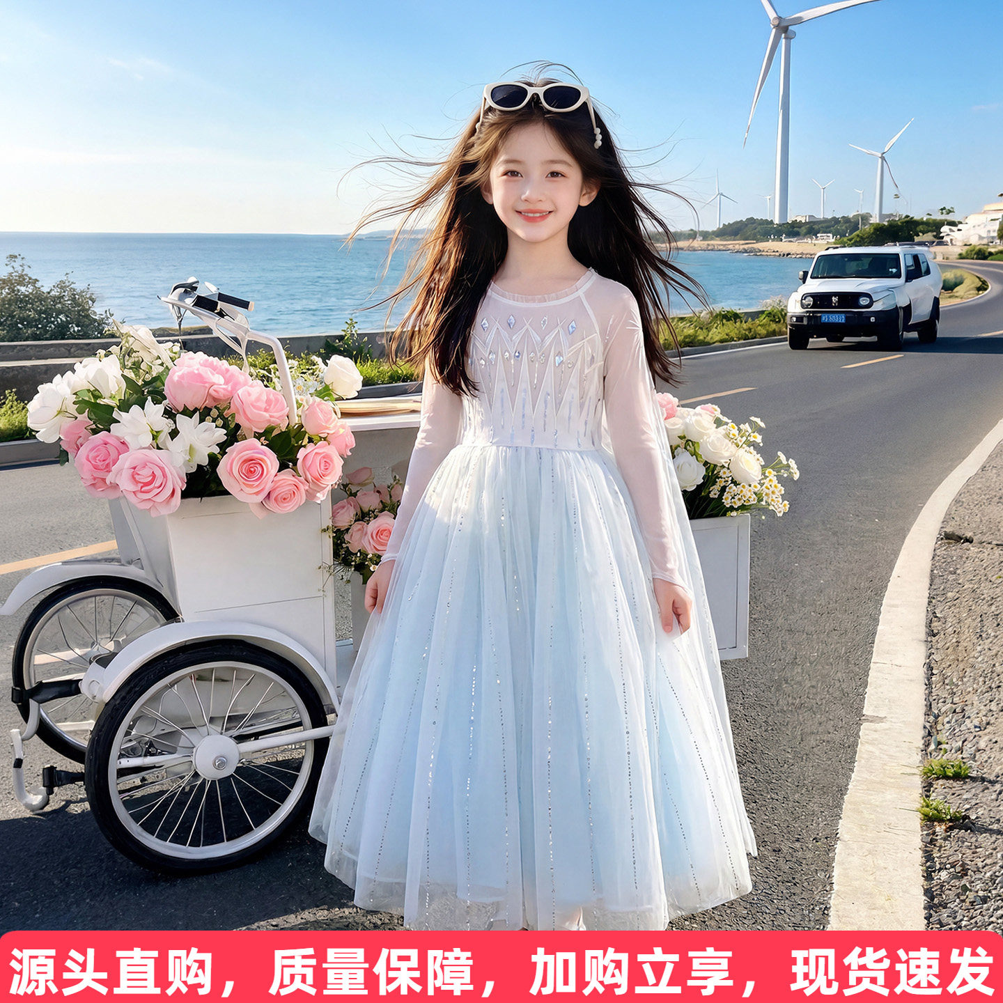 艾莎公主礼服裙送披风图片