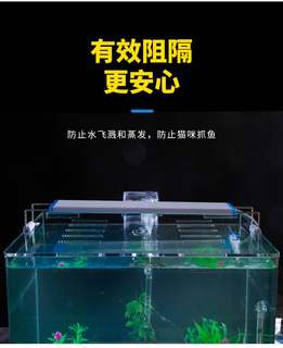 玻璃热弯高清鱼缸办公桌面小型生态创意造景金鱼龟生态水族箱裸缸