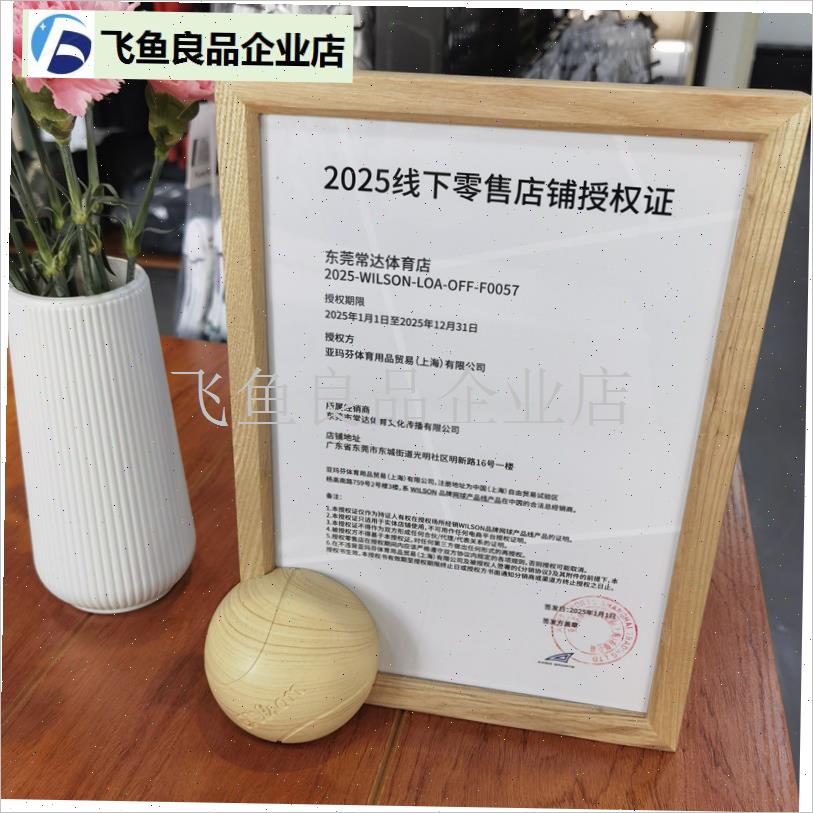 wilson网球拍避震器减震器H美网法网威尔逊小黄人十二生肖,