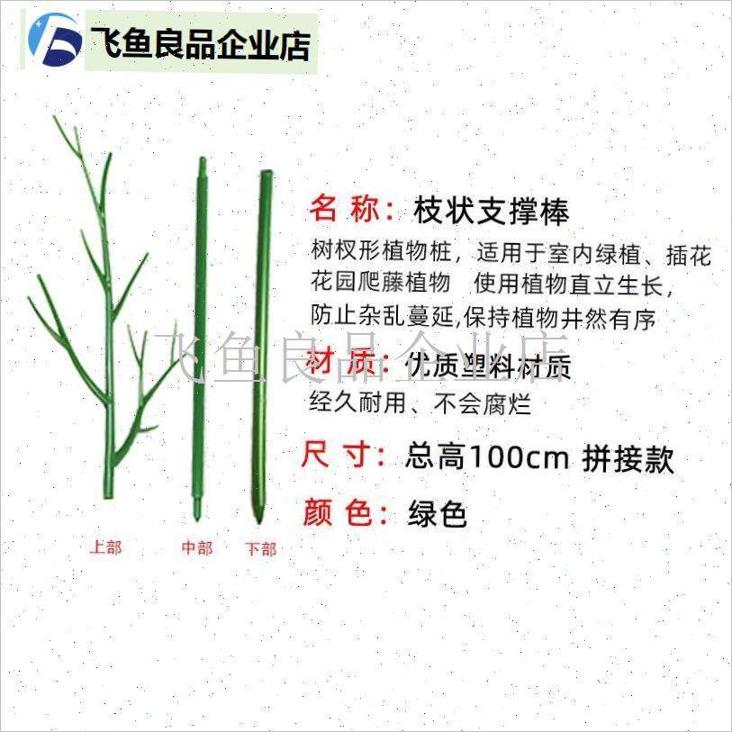文竹支撑架植物固定防倒伏v龟背竹支撑杆M绿萝爬藤花架支架园艺,