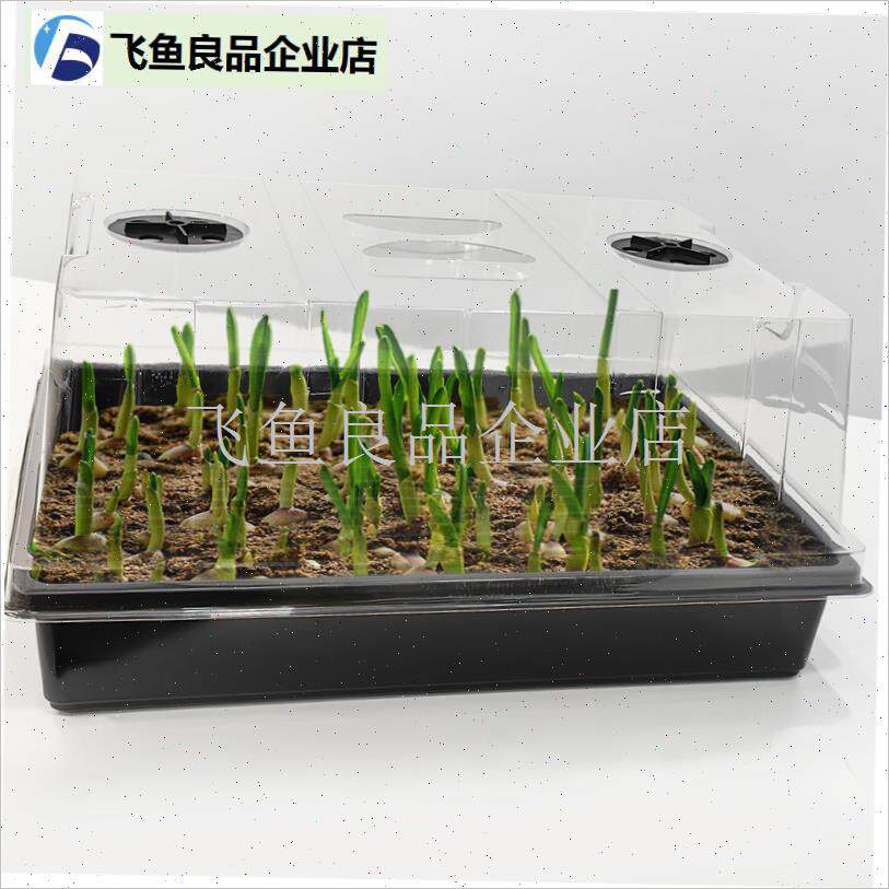 加高育苗盒扦插出芽带盖子多z肉闷养保温播种盘保湿育苗盘箱,