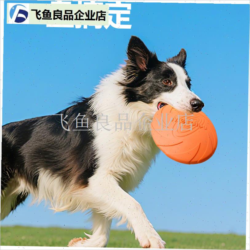 飞盘狗狗耐咬训狗互动边牧专用消C耗体力宠物玩具金毛赛级大型犬,