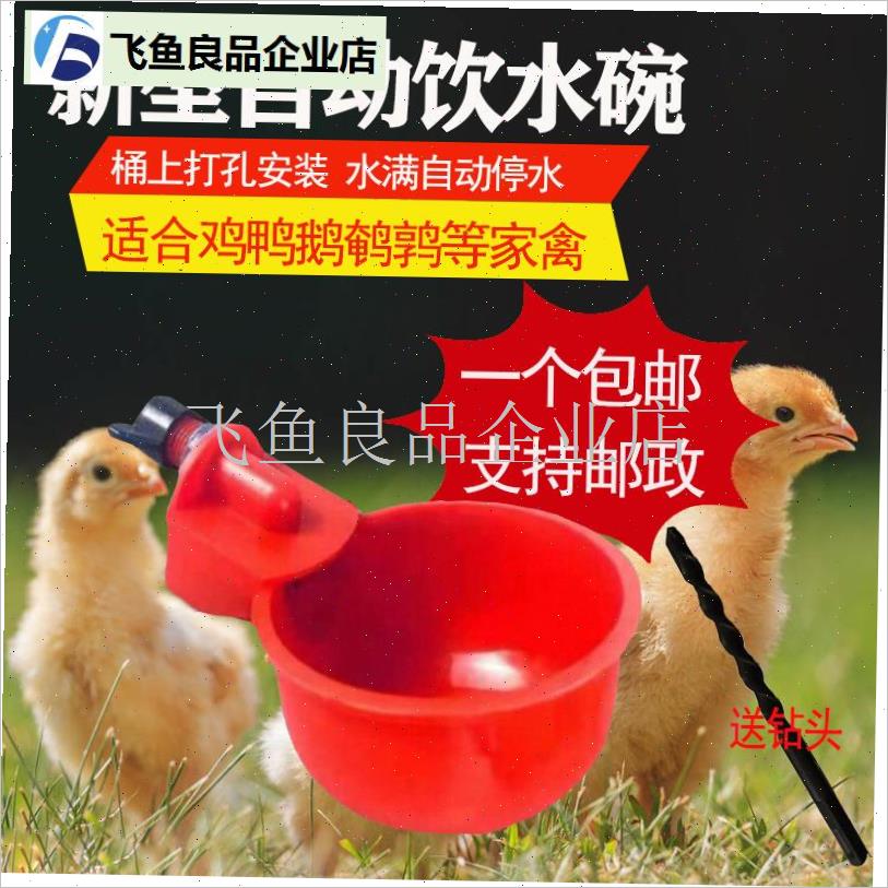 家禽自动饮水器鸡l鸭鹅桶饮水碗喝水碗鹌鹑家禽鸟喂水神器雏芦丁,