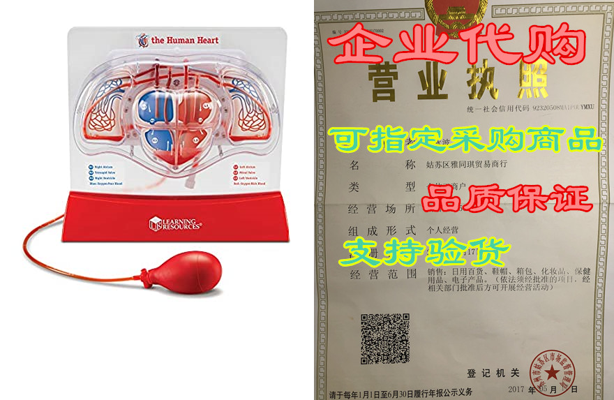 learning resources ler3535 pumping heart model, teaching