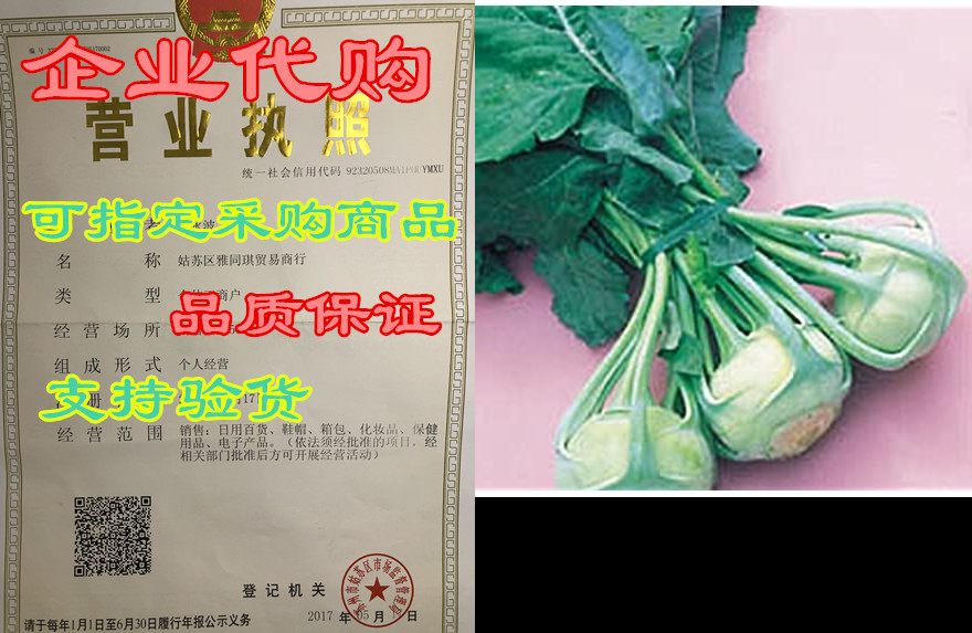 kohlrabi early white viena great heirloom vegetable bulk