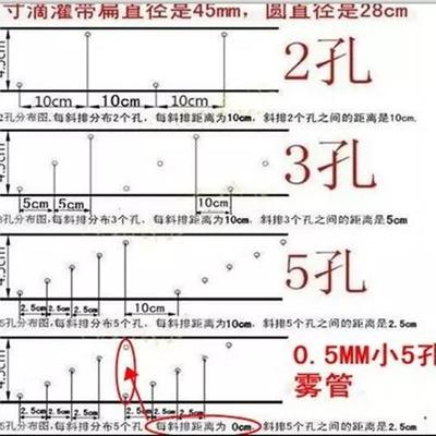 喷水管带孔喷雾管1.5加厚喷水带3浇水管果蔬灌溉微雾园林喷灌带寸