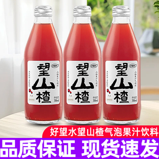 好望水果汁气泡水望山楂300ml*6瓶碳酸饮料草本健康解腻果味饮料