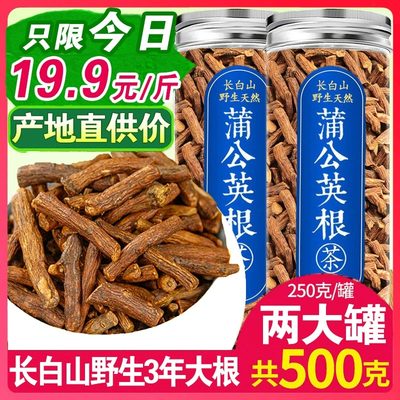 【试用20%包退】蒲公英大根500克